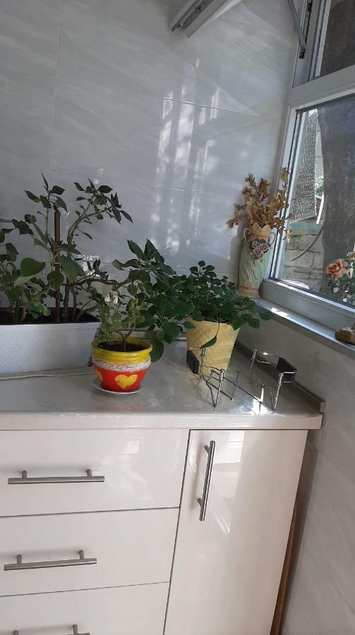 Apartamento Newly Renovated House Tiflis Exterior foto