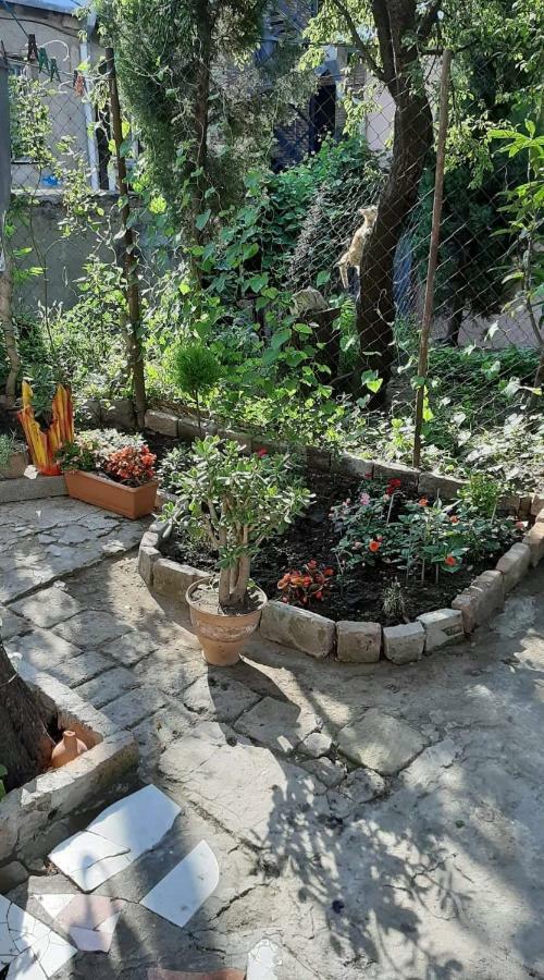 Apartamento Newly Renovated House Tiflis Exterior foto